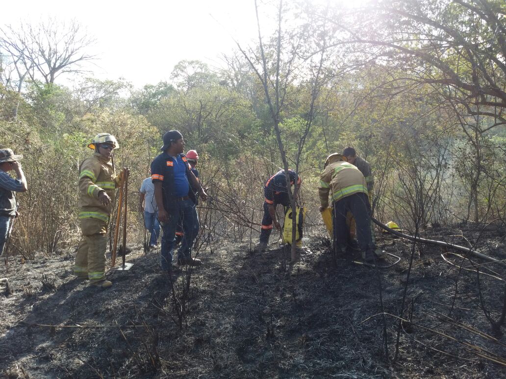 incendio-forestal