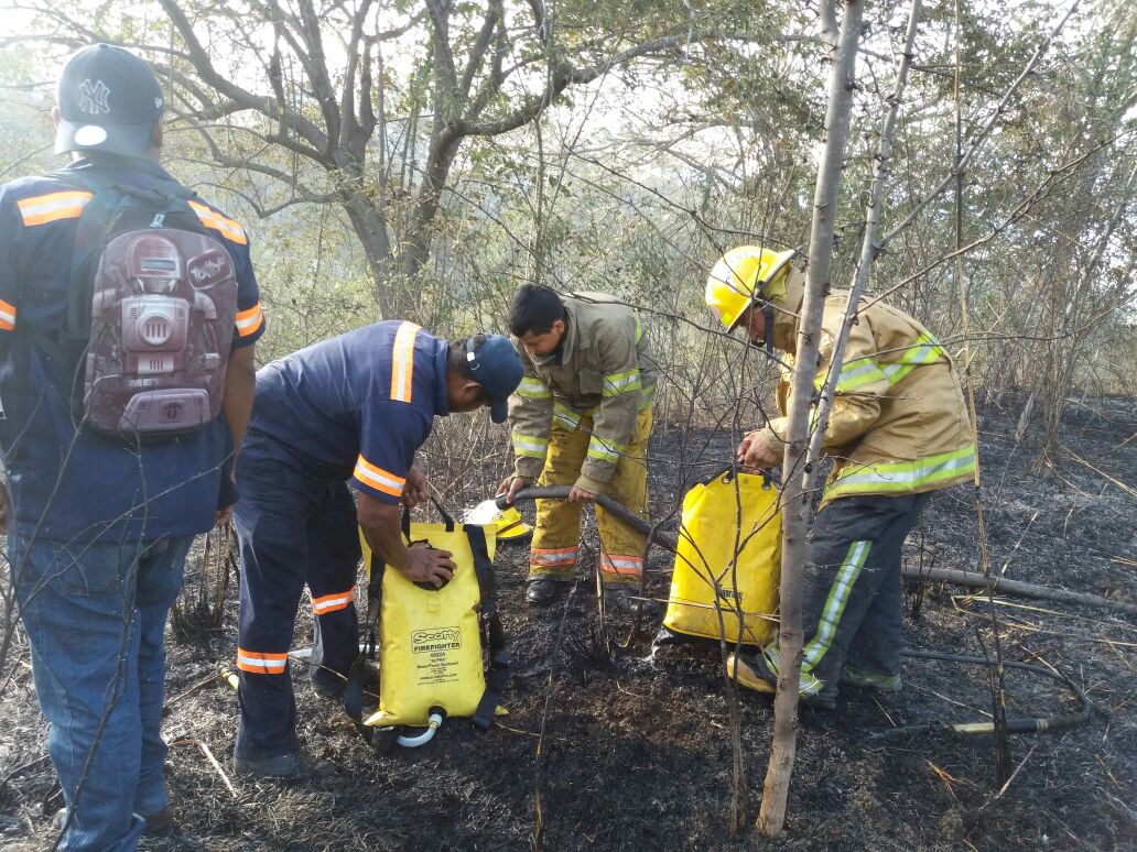 incendio-forestal