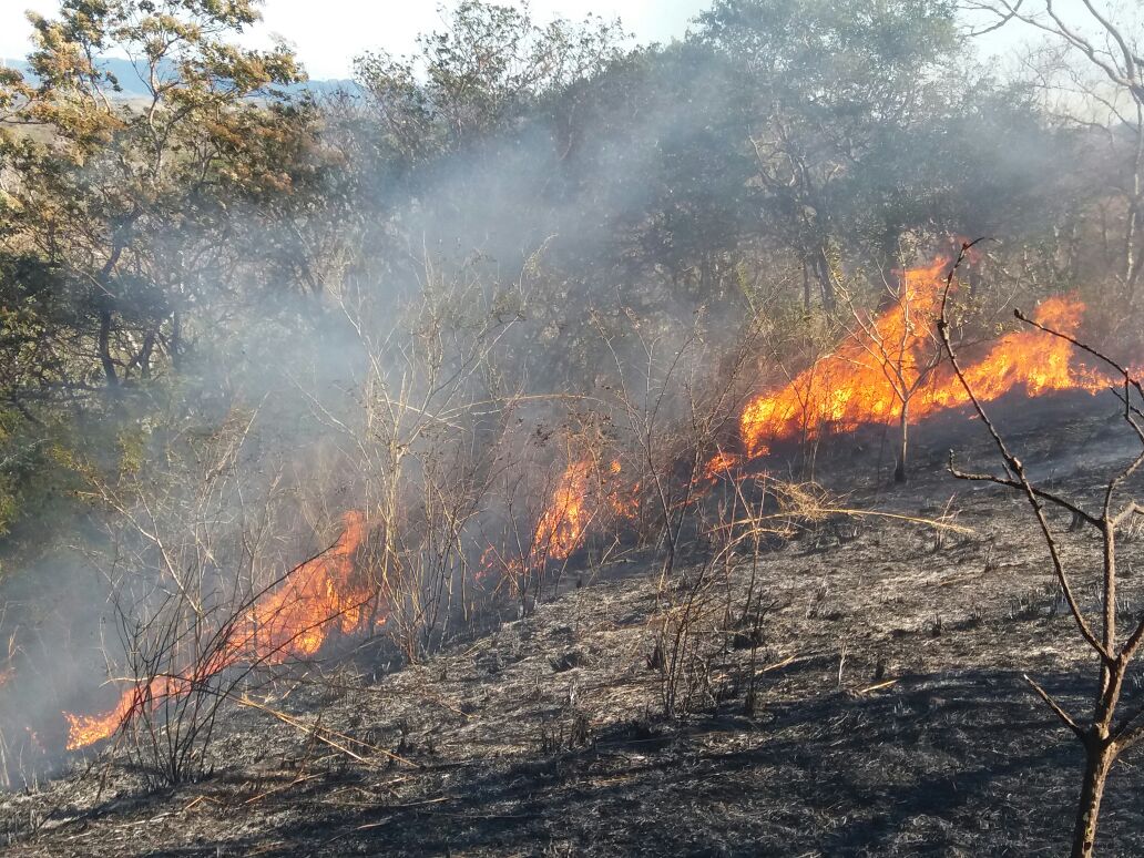 incendio-forestal