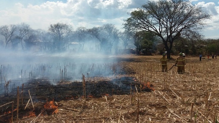 incendio_nindiri