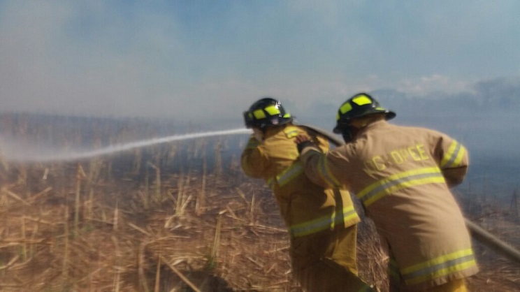 incendio_nindiri