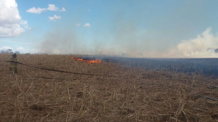 incendio_nindiri