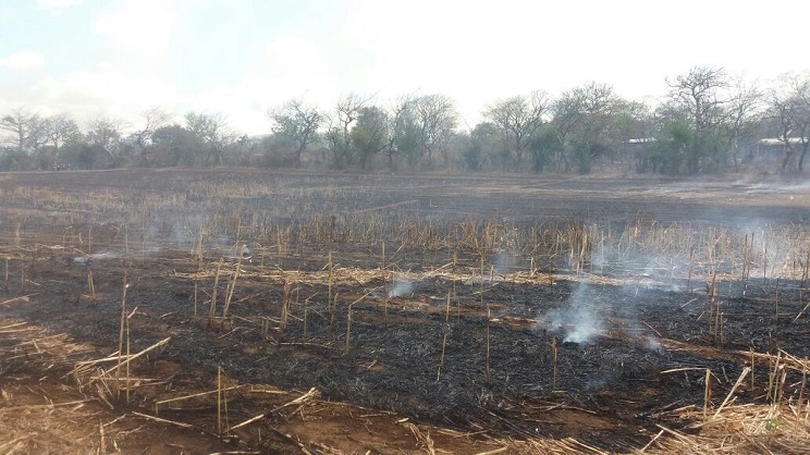 incendio_nindiri
