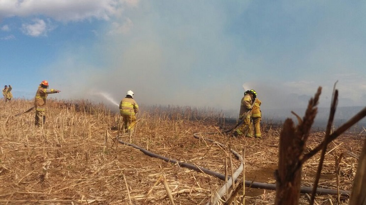 incendio_nindiri