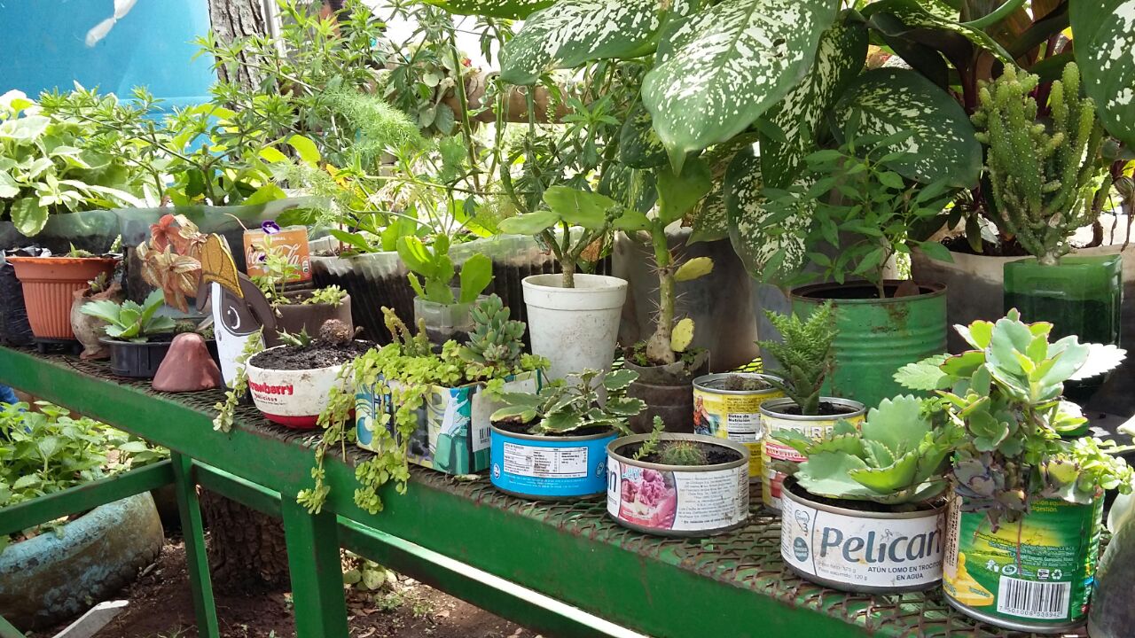 patiosaludable
