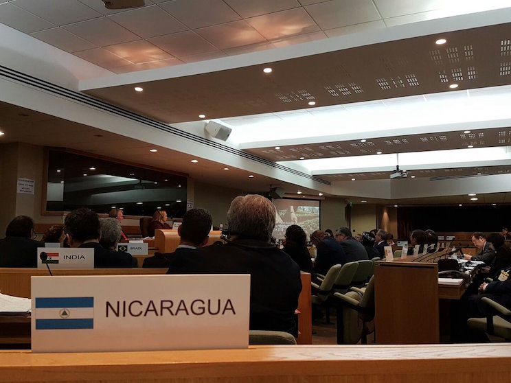 Organización Internacional del Café