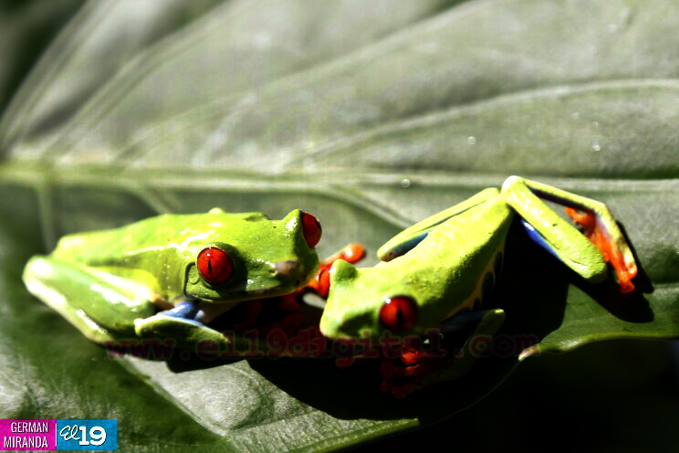 mariposario