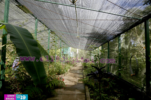 mariposario