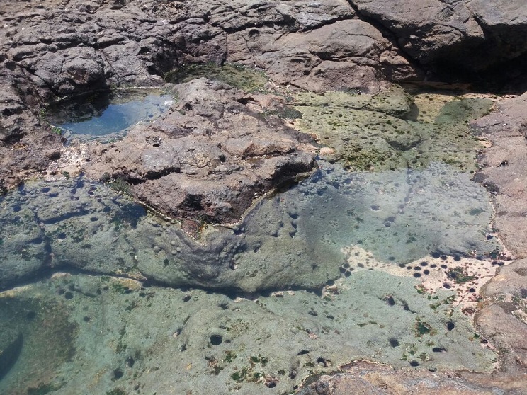 playa_rota