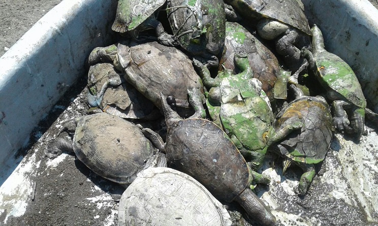 laguna_tiscapa