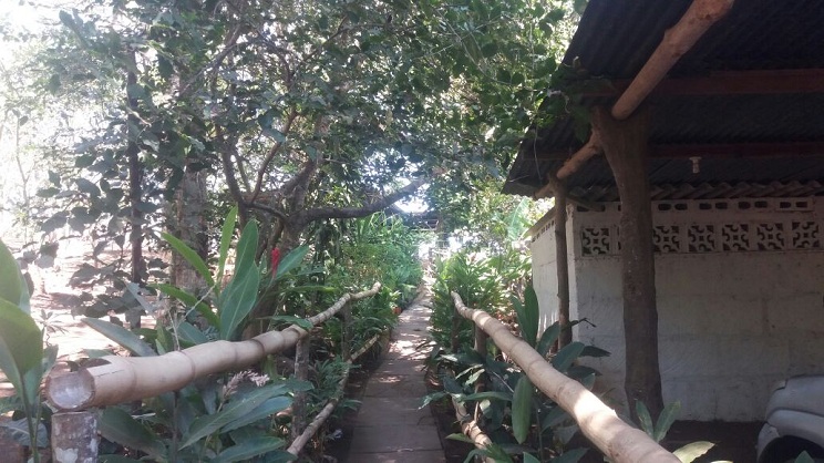 mirador_congo