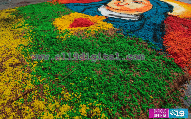 alfombras_aserrin_leon