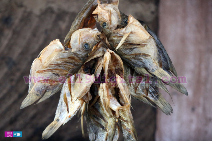 gastronomia_rio_san_juan