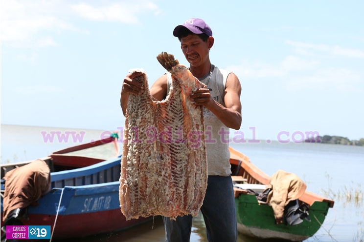 gastronomia_rio_san_juan