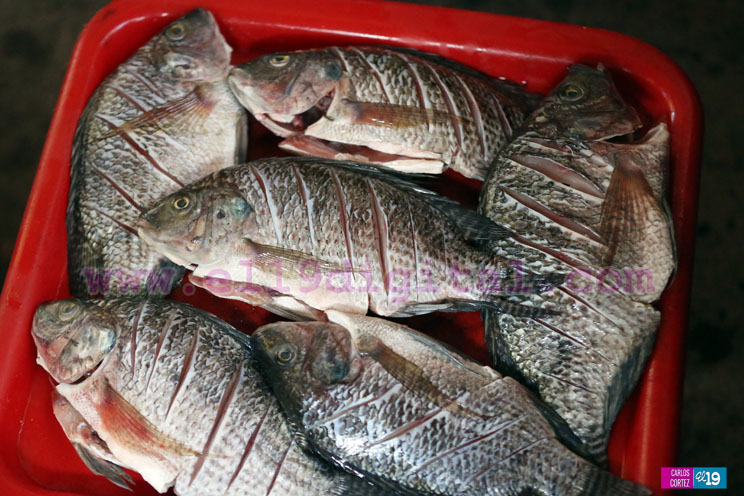 gastronomia_rio_san_juan