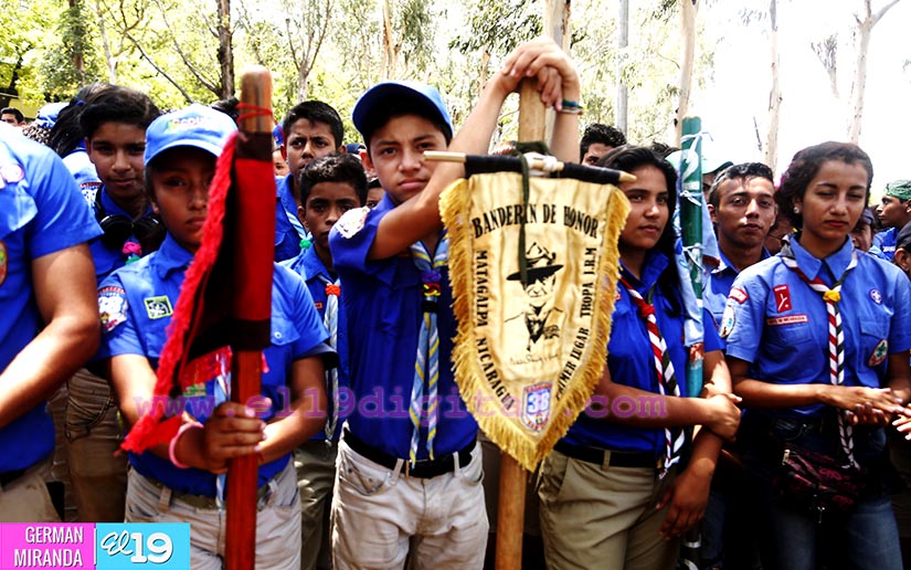scout