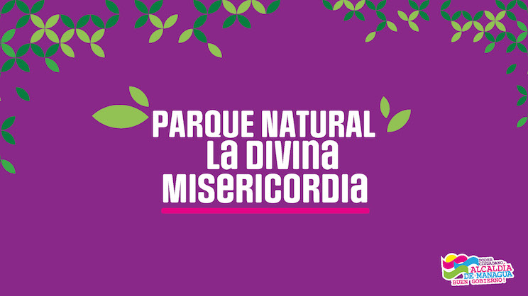Divina Misericordia