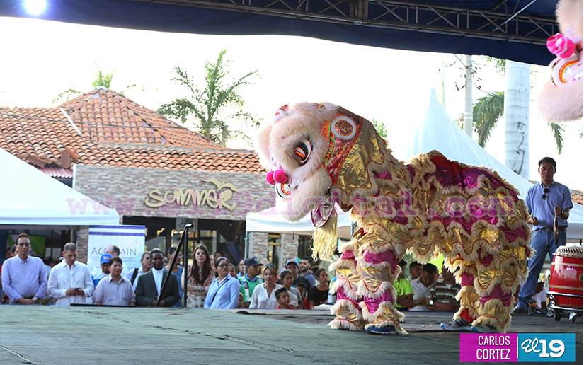 festival