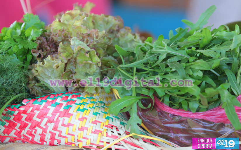 eneldo_arugula