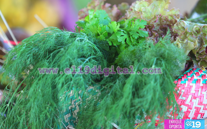eneldo_arugula