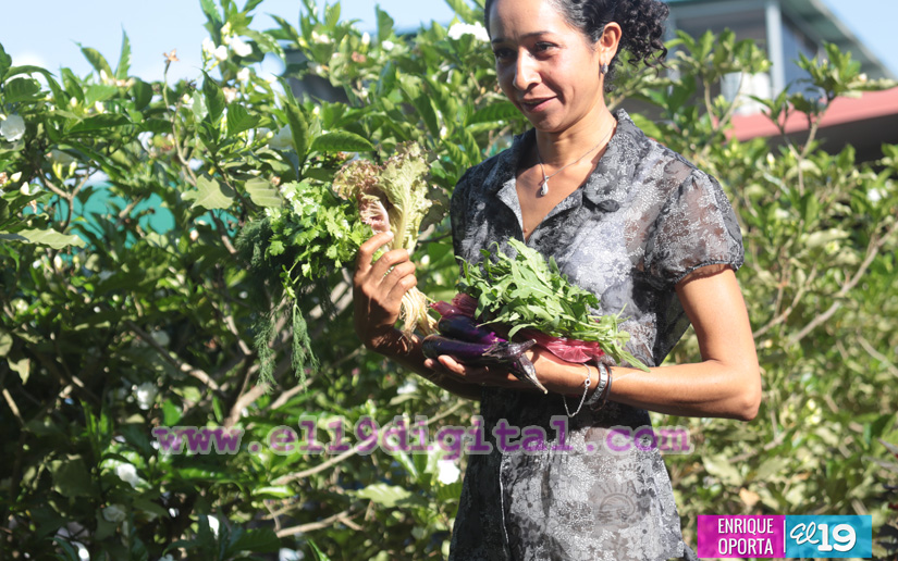 eneldo_arugula
