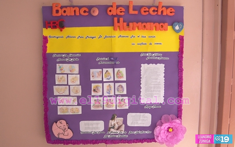 lactancia