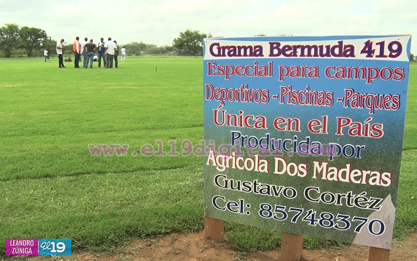 grama