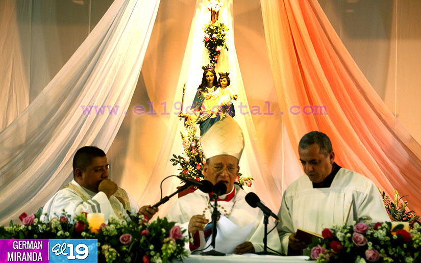cardenal
