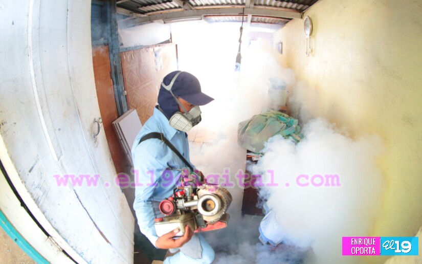 fumigacion