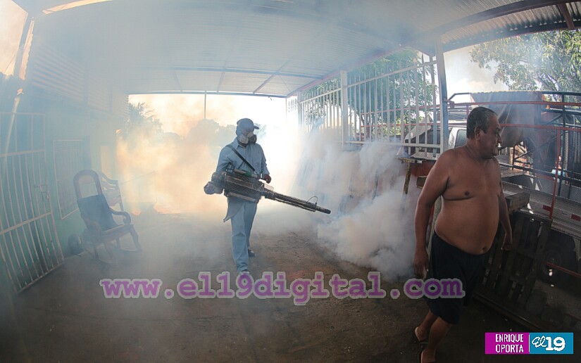 fumigacion