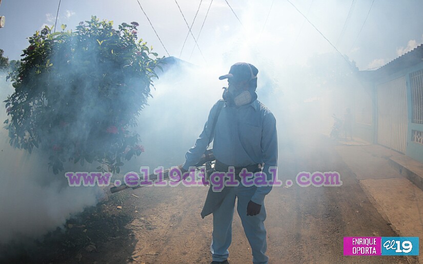 fumigacion
