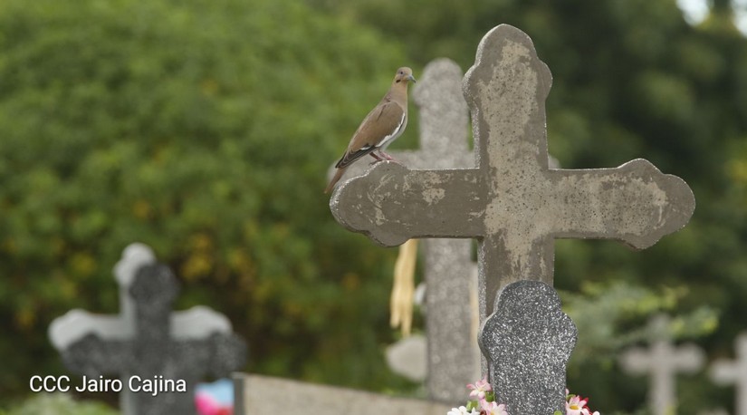 cementerio