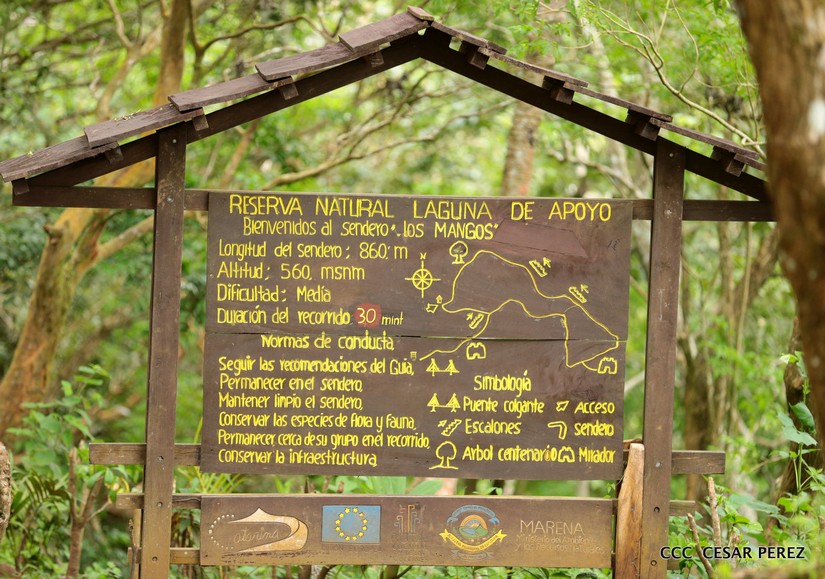 masaya