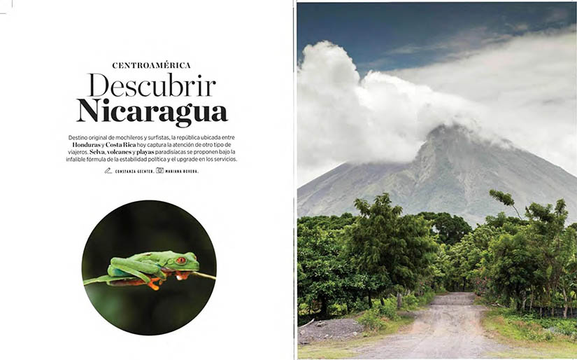 revista