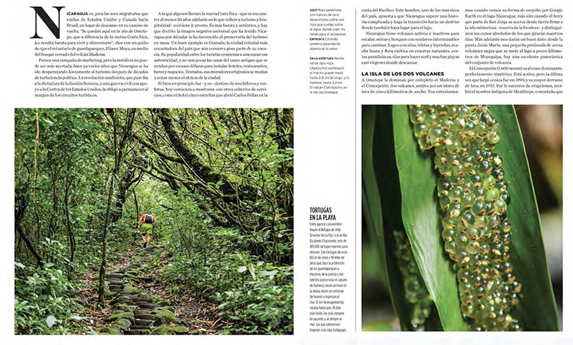 revista