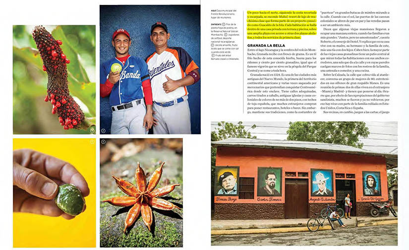 revista