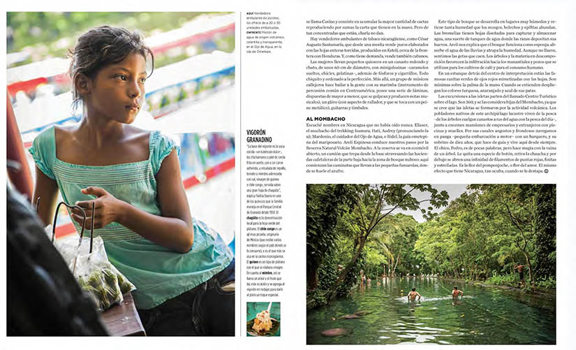 revista