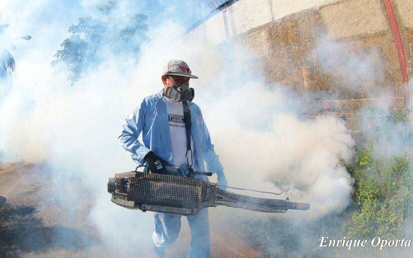 fumigacion