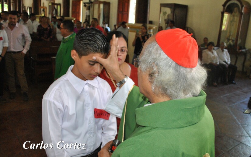 brenes