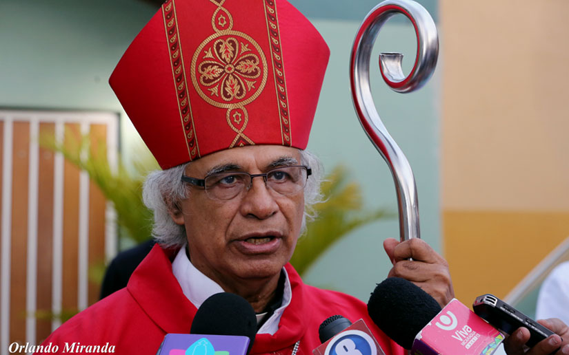 cardenal-brenes