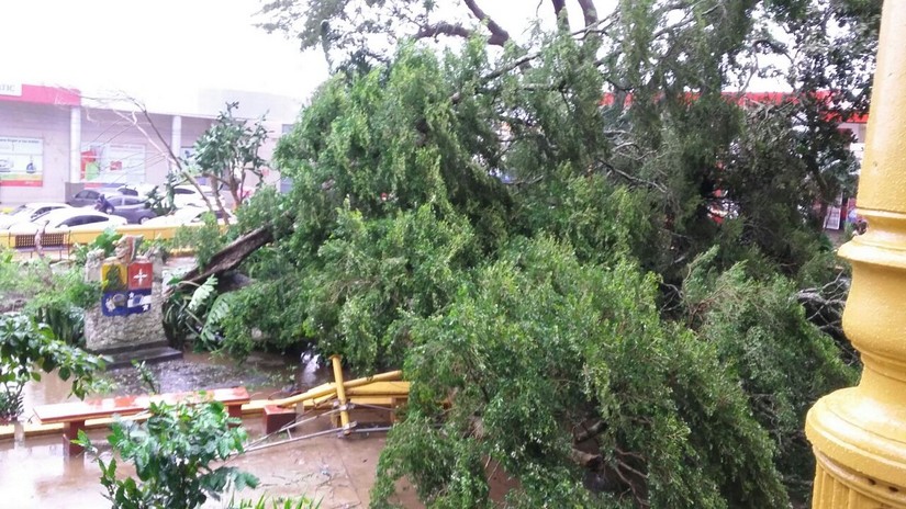 lluvia