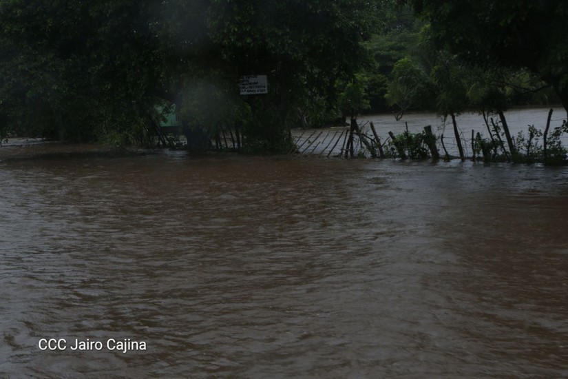 rivas