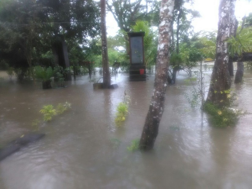 lluvias