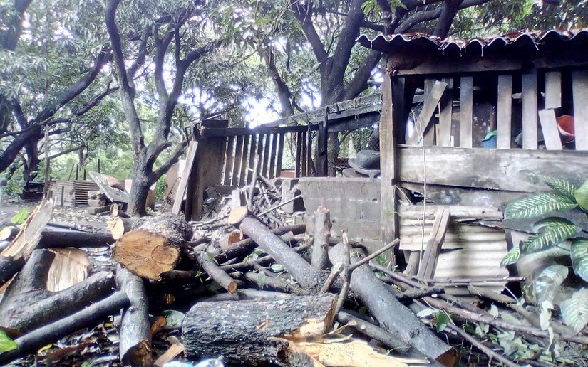 vivienda