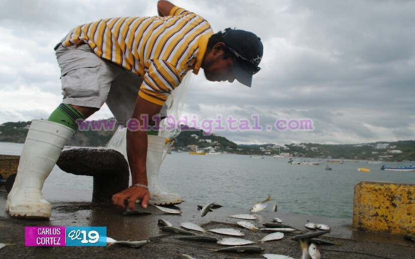 pesca