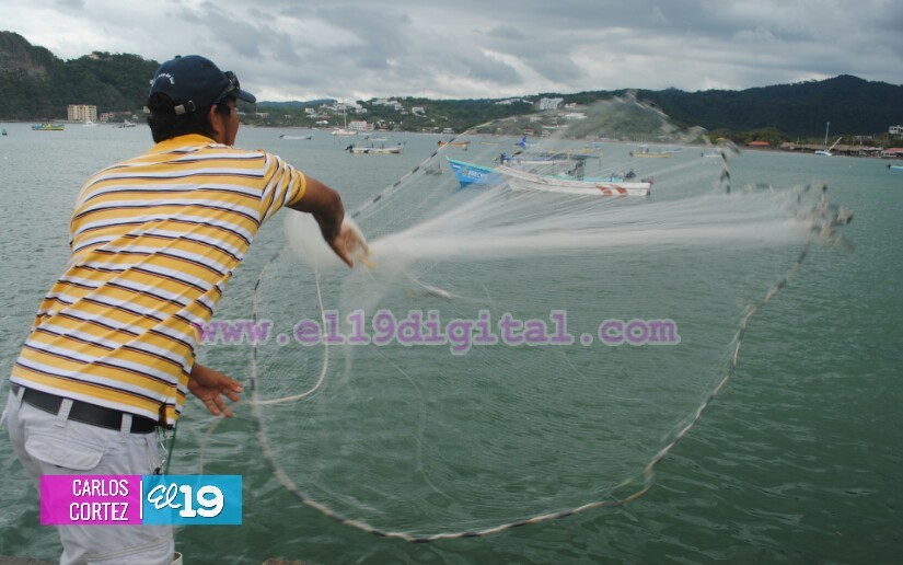 pesca