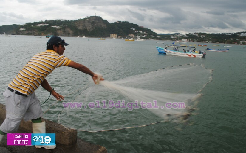 pesca