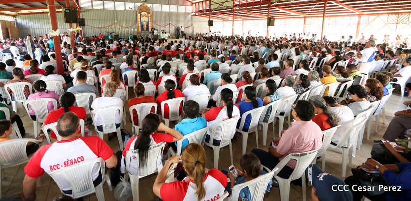 brenes