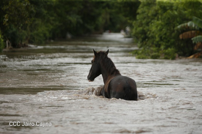 lluvias