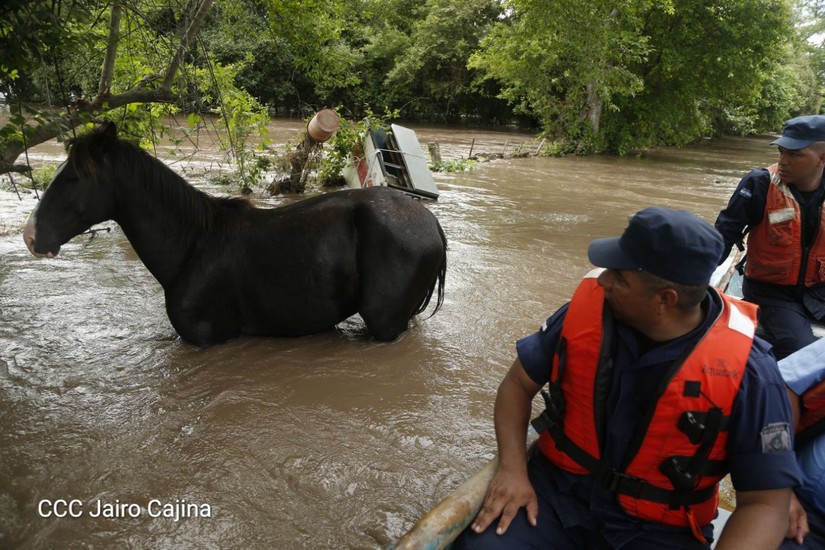 lluvias